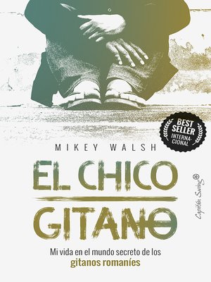 cover image of El chico gitano
